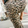 PE-24216-Brown-Baum-Leopard-6